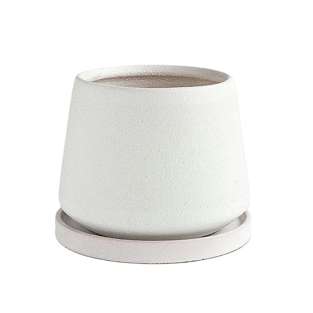 皿付鉢 フラン ホワイト