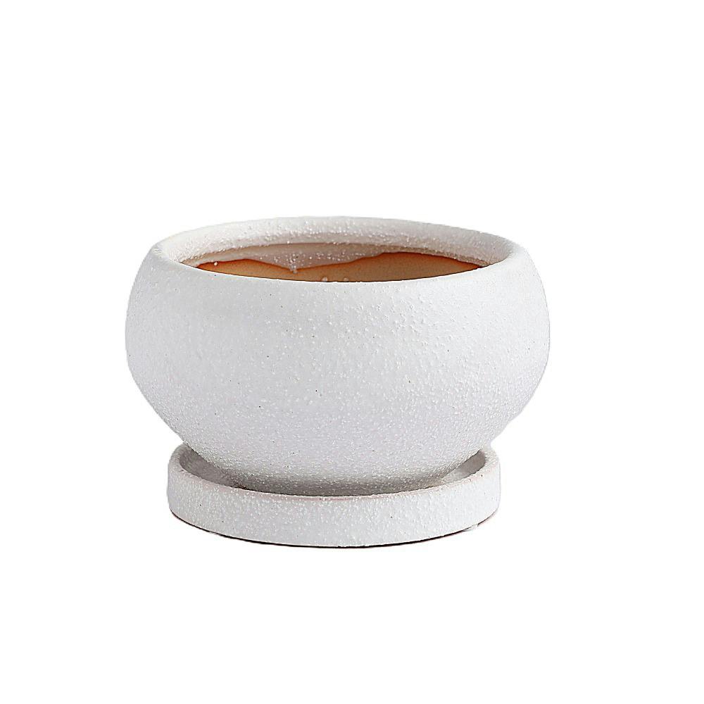 皿付鉢 アネーロ ホワイト