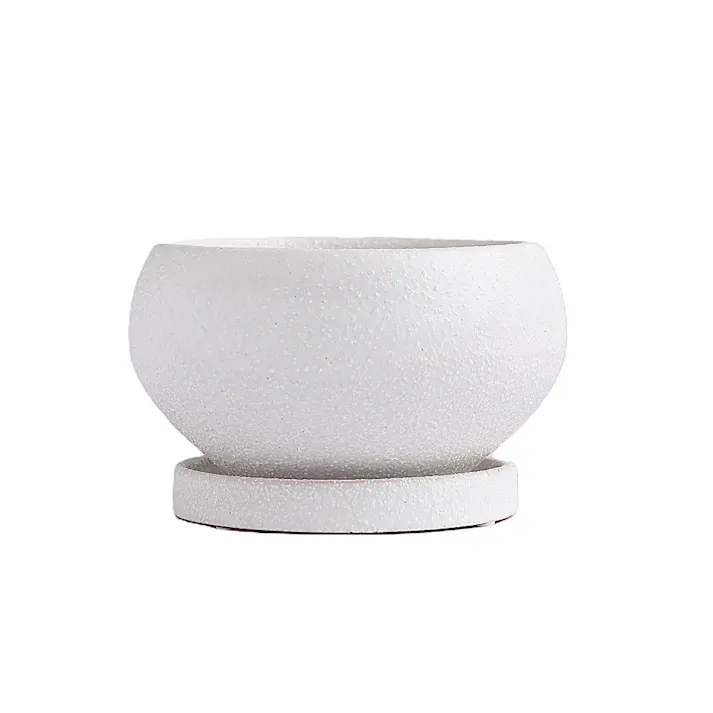 皿付鉢 アネーロ ホワイト