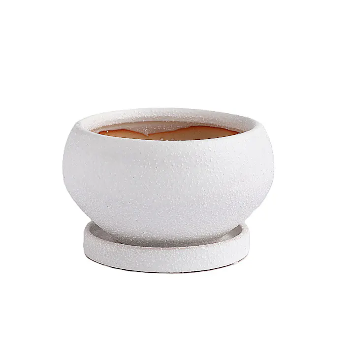 皿付鉢 アネーロ ホワイト