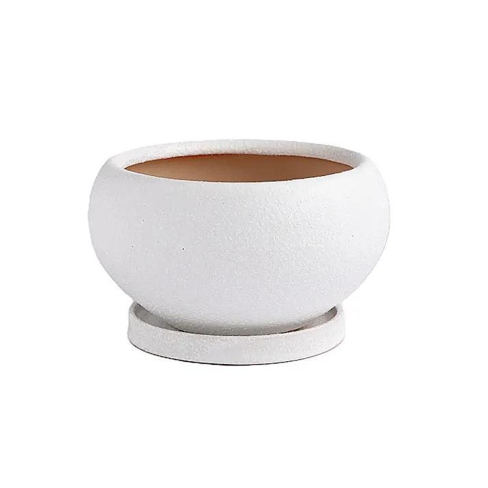 皿付鉢 アネーロ ホワイト