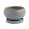 皿付鉢 アネーロ グレー