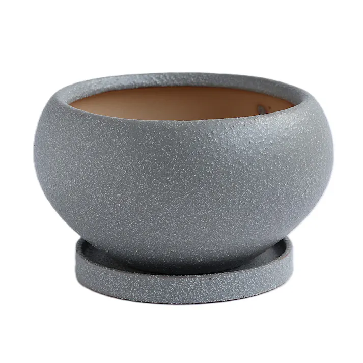皿付鉢 アネーロ グレー