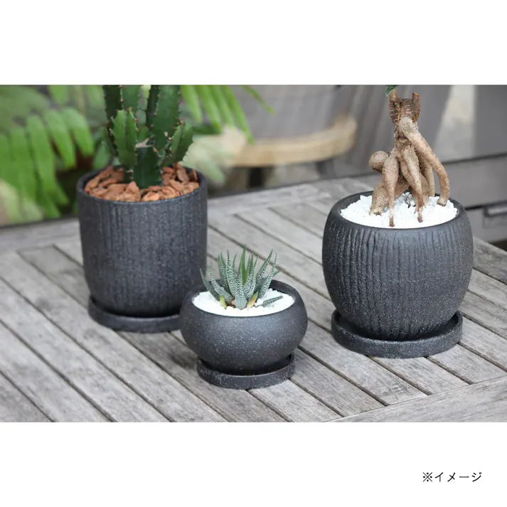 皿付鉢 アネーロ ブラック