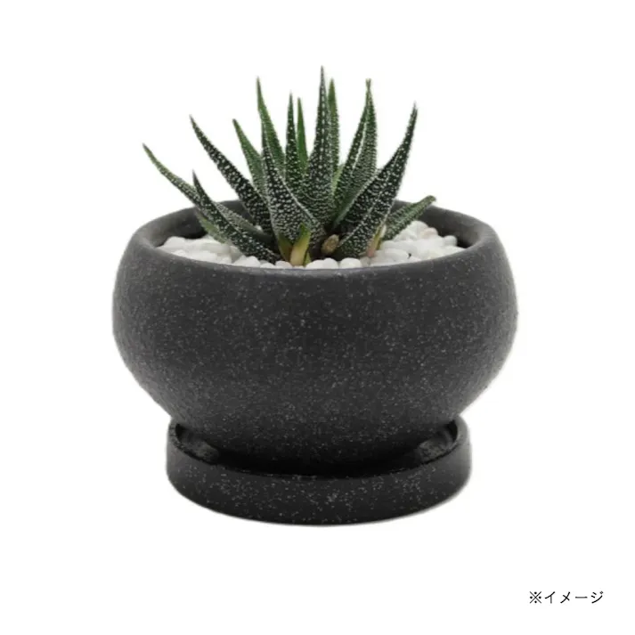 皿付鉢 アネーロ ブラック