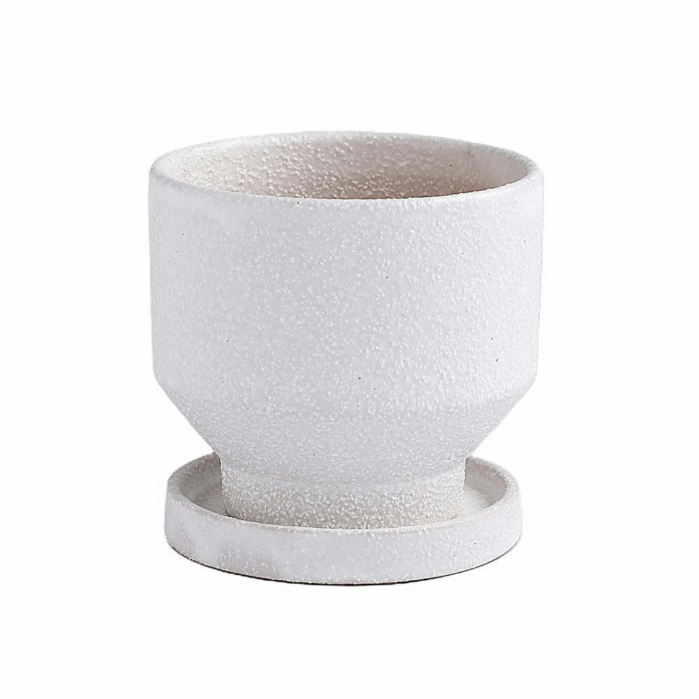 皿付鉢 トゥール ホワイト