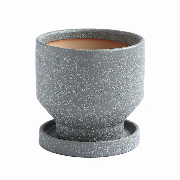 皿付鉢 トゥール グレー