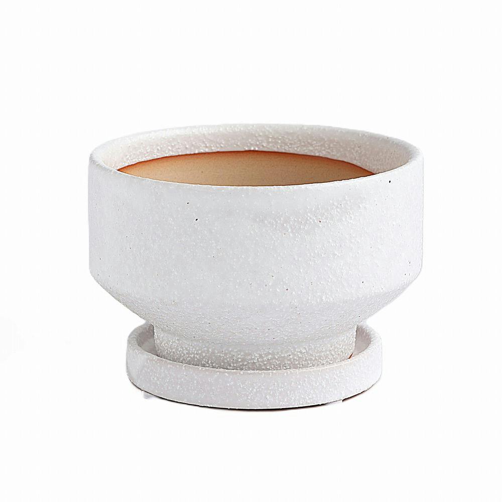 皿付鉢 プラサ ホワイト