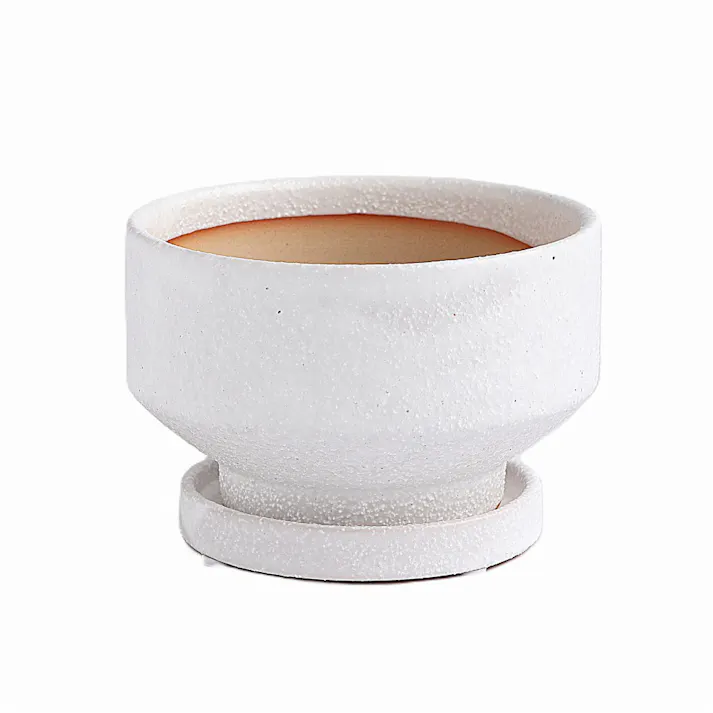 皿付鉢 プラサ ホワイト