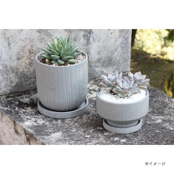 皿付鉢 プラサ グレー