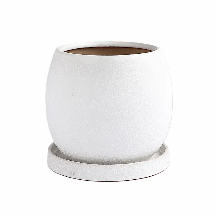 皿付鉢 ファス ホワイト