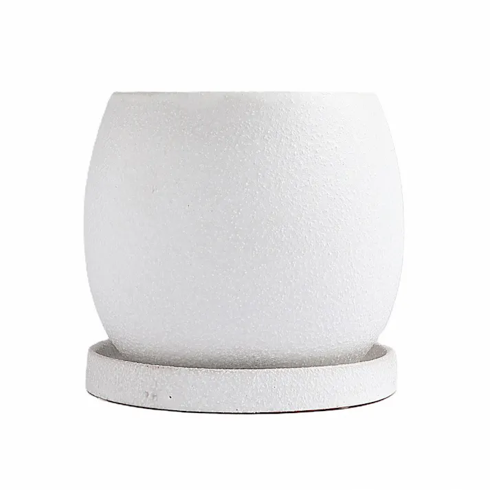 皿付鉢 ファス ホワイト