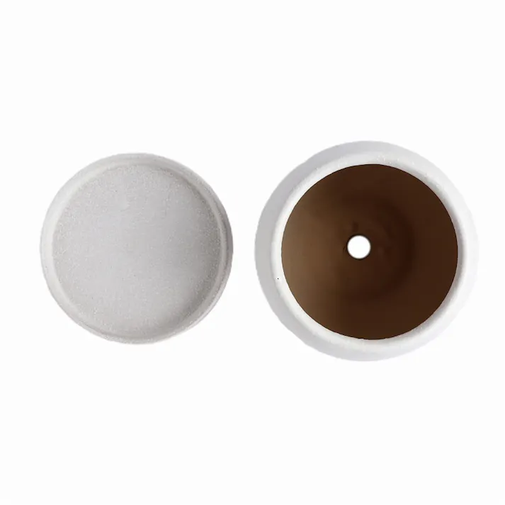 皿付鉢 ファス ホワイト