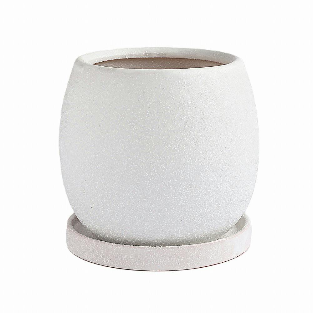 皿付鉢 ファス ホワイト