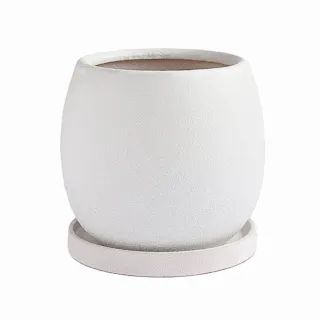 皿付鉢 ファス ホワイト