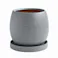 皿付鉢 ファス グレー