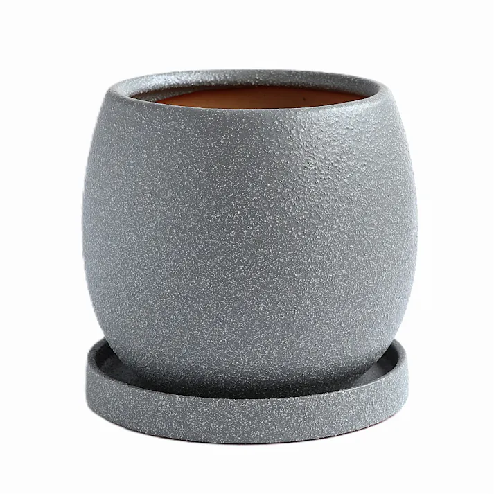 皿付鉢 ファス グレー