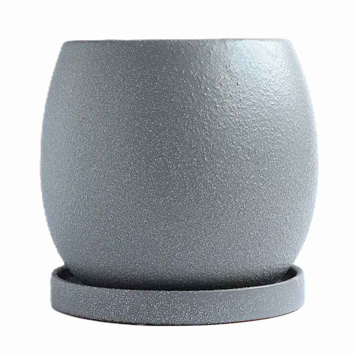 皿付鉢 ファス グレー