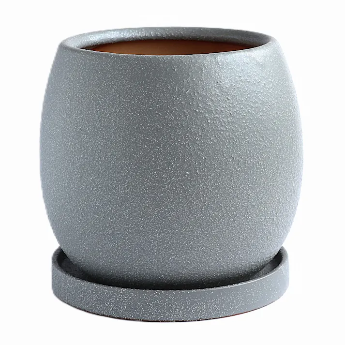 皿付鉢 ファス グレー