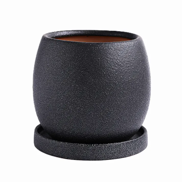 皿付鉢 ファス ブラック