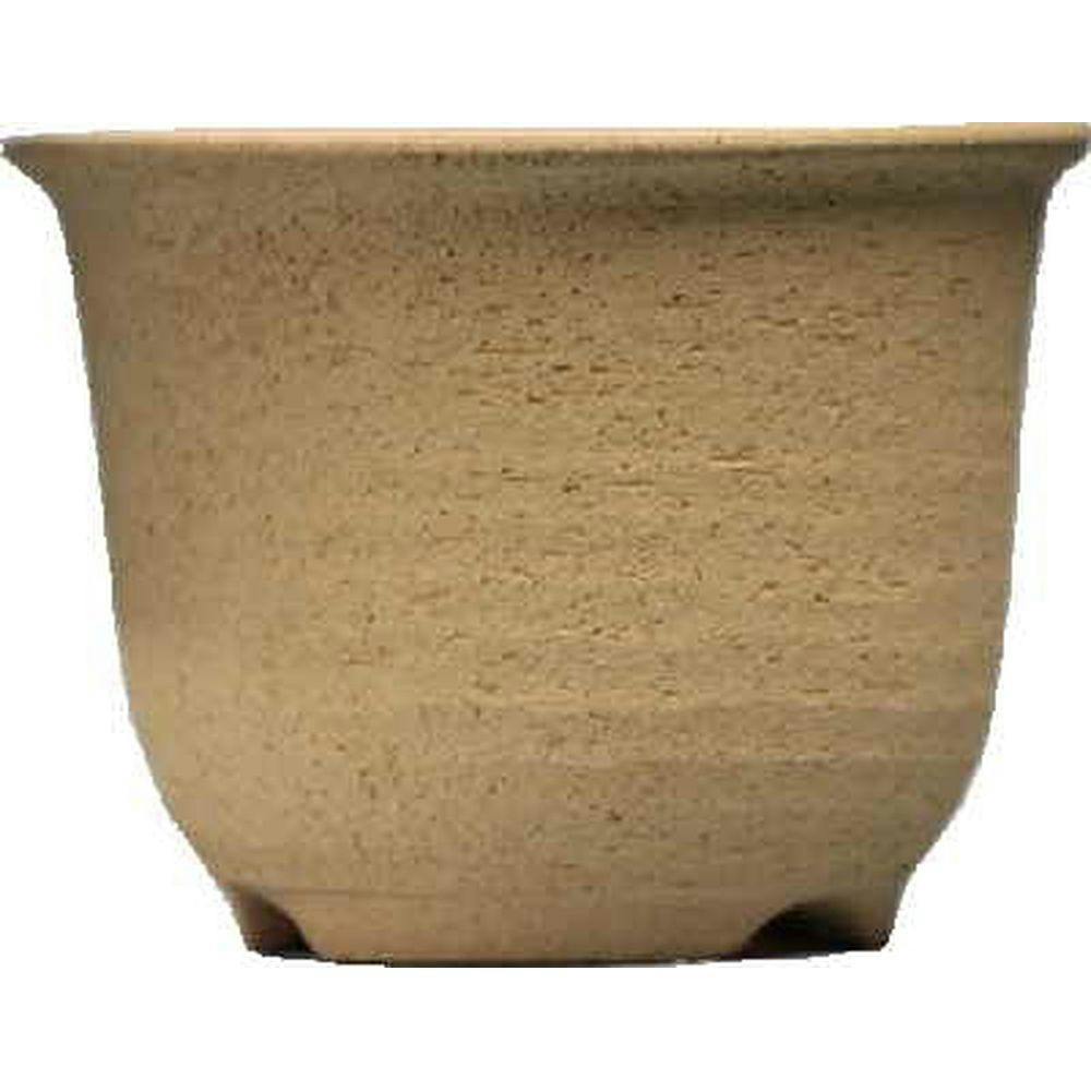 ウチョウラン鉢 3.5号 | 鉢・プランター・花台・温室 通販