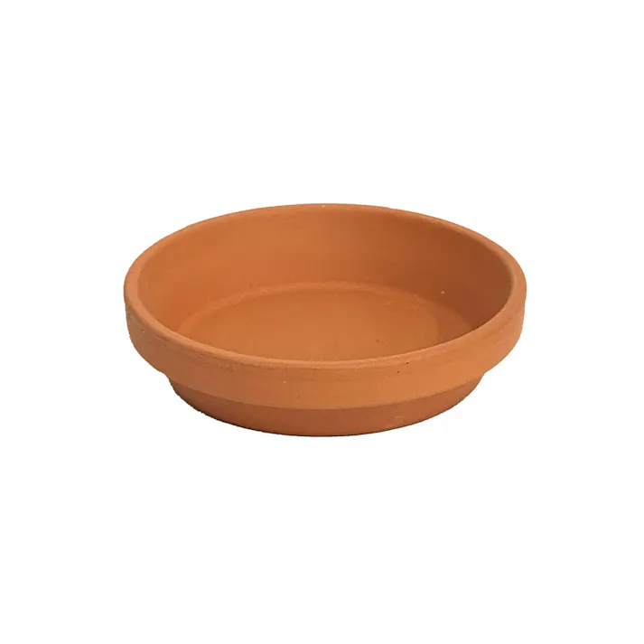 受皿 プティ 10cm
