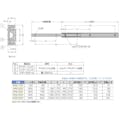 【CAINZ-DASH】スガツネ工業 （１９０１１９５３３）ＡＲ２－１００アルミ合金製スライドレール AR2-100【別送品】