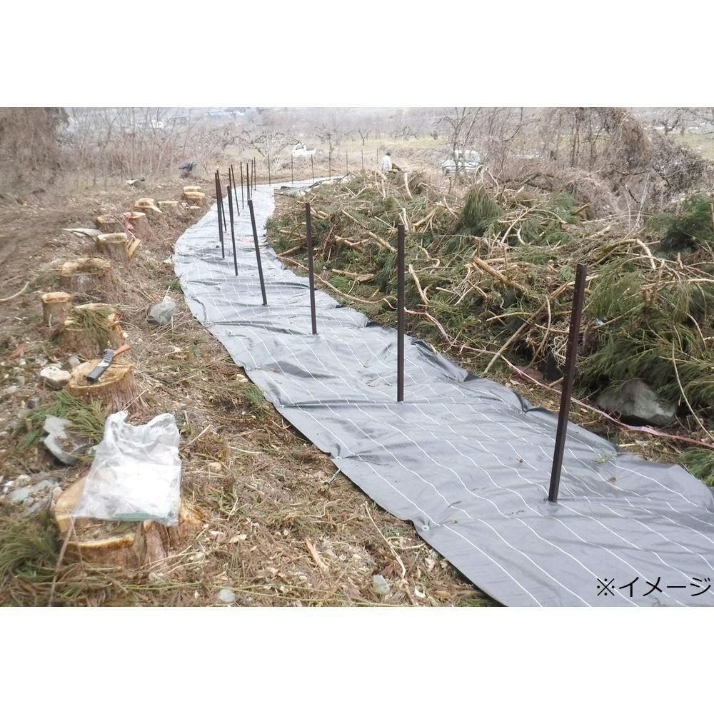 ナカ Webike | ENDURANCE エンデュランス マルチバー Ninja ZX-25R