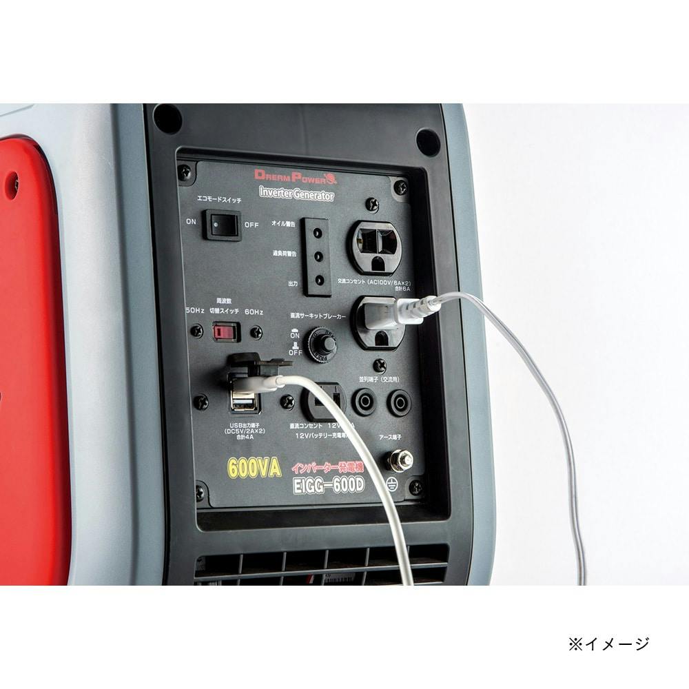 ナカトミ インバーター発電機 カセットボンベ式 EIGG600D【別送品
