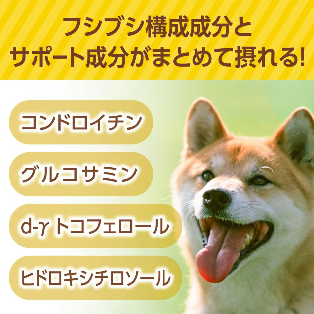 DHC 犬用 きびきび散歩 60粒 | おやつ（犬） 通販 | ホームセンターの