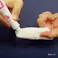 トーラス 猫の歯磨きペースト 21g