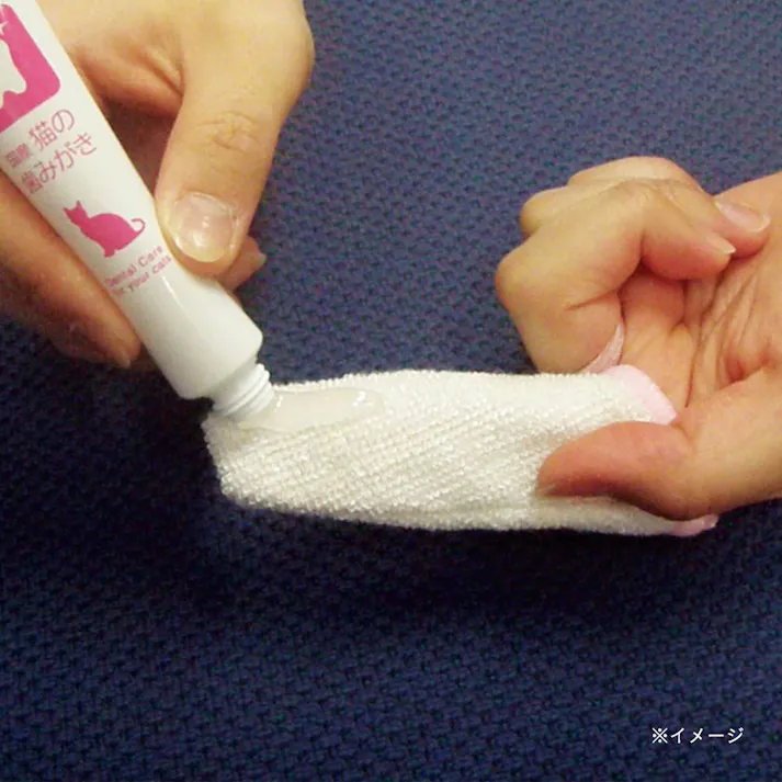 トーラス 猫の歯磨きペースト 21g