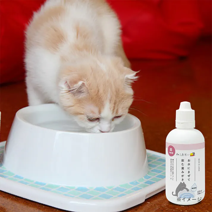ねこおもい お水にまぜて飲む歯みがき 100ml