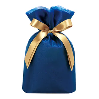 ギフトバッグ オーガンジー S ブルー