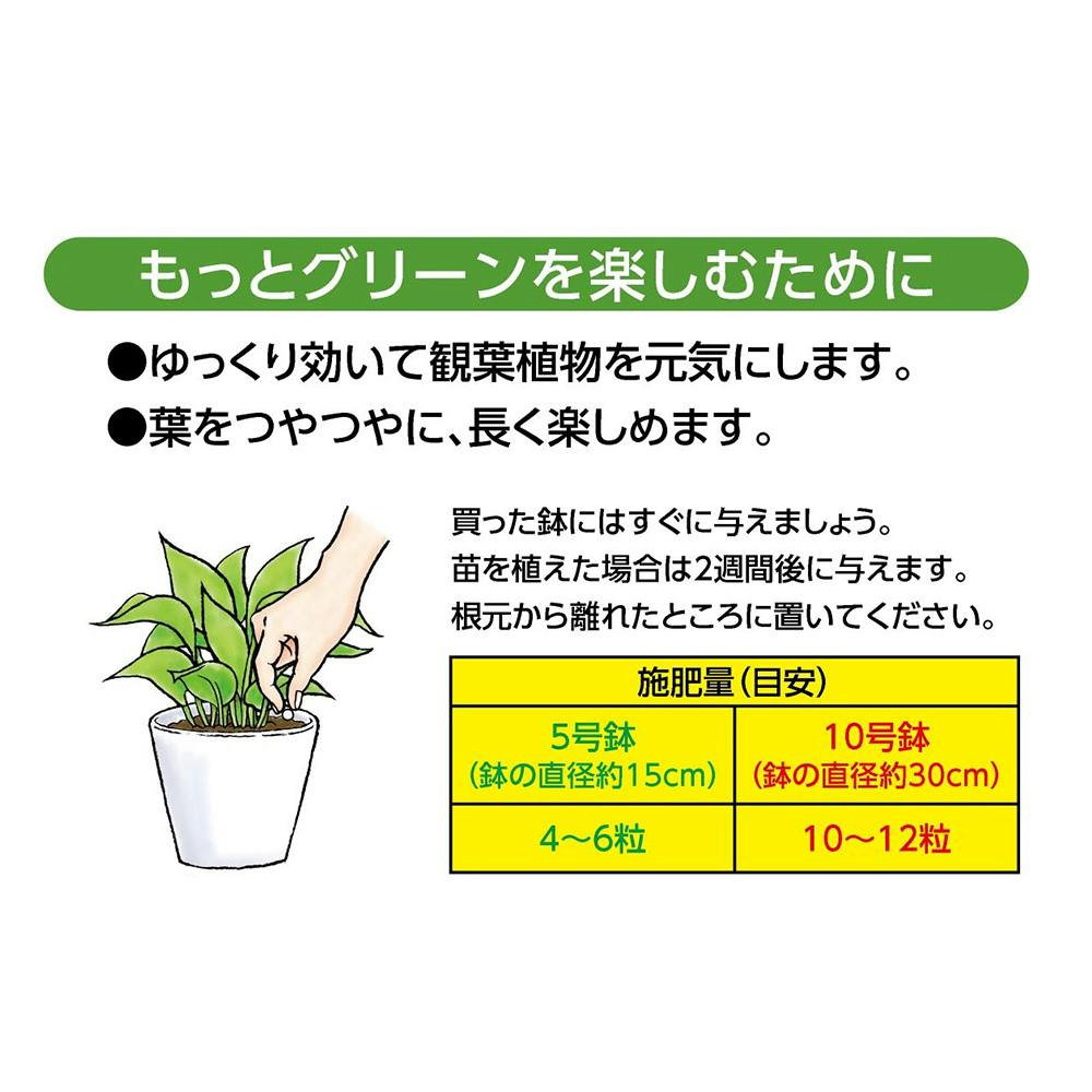 観葉植物の肥料 150g | 用土・肥料 通販 | ホームセンターのカインズ