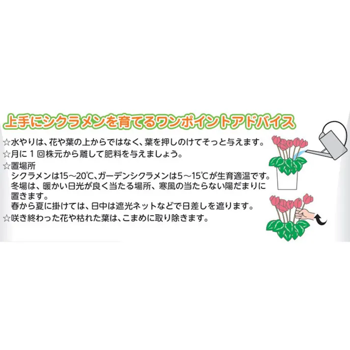 シクラメン・ガーデンシクラメンの肥料 300g