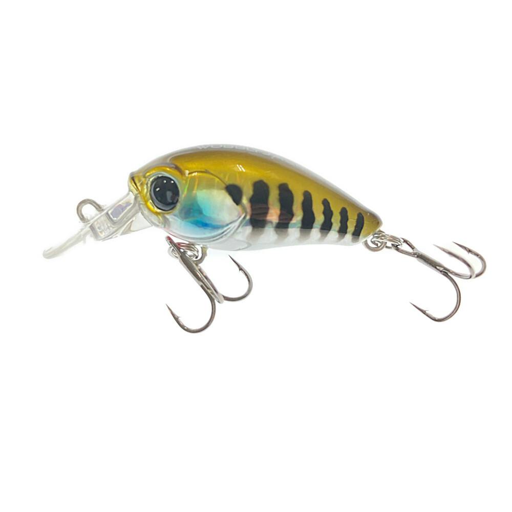 契約ブルックス 契約シルバー ティガウォック ブルーインパルス シャコガイルA 契約ブルックス 契約シルバー ティガウォック ブルーインパルス