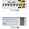 【CAINZ-DASH】ＳＴＳ アルミスタッフ　ＴＳ－５４　５ｍ４段 TS-54【別送品】