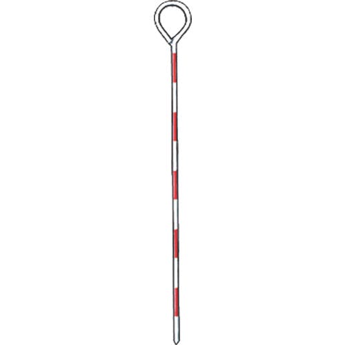 STS ピンポ-ルトラバ-ピン PP-650 50cm PP-650 ポール STS ピンポ-ルトラバ-ピン PP-650 50cm PP-650 ポール