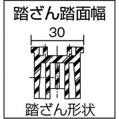CAINZ-DASH】ケイエスエス ノビテック 伸縮はしご５．１ｍ SN-510【別送品】 工事・照明用品 ホームセンター通販【カインズ】