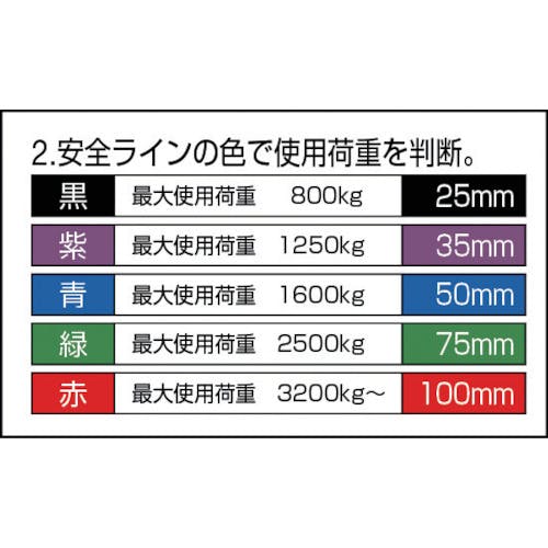 田村総業 ベルトスリング Pタイプ 3E 75×4.0 PE0750400 PE0750400-