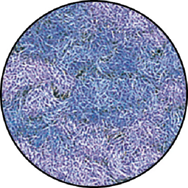 【CAINZ-DASH】スリーエム ジャパンコマーシャルケア販売部 水油とりマット 青 900X600mm N/OIL BLU 900X600【別送品】