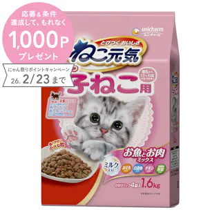 ねこ元気 子ねこ用 お魚とお肉ミックス 1.6kg
