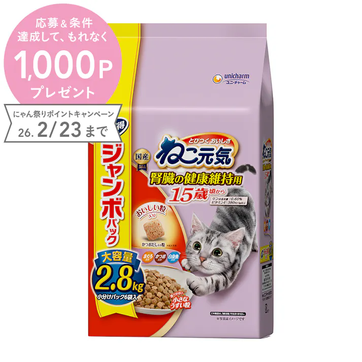 ねこ元気15歳 2.8kg