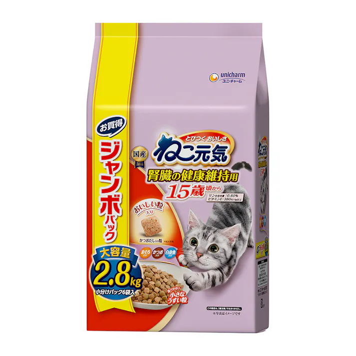 ねこ元気15歳 2.8kg