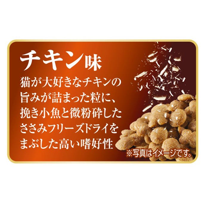 AllWell 食事の吐き戻し軽減 室内猫用 チキン味 800g