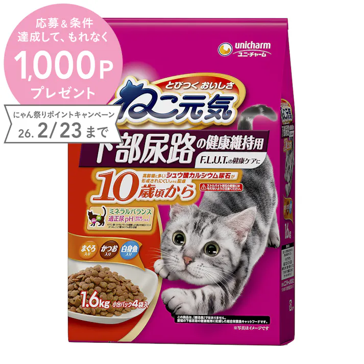 ねこ元気 下部尿路の健康維持用 10歳頃から 1.6kg