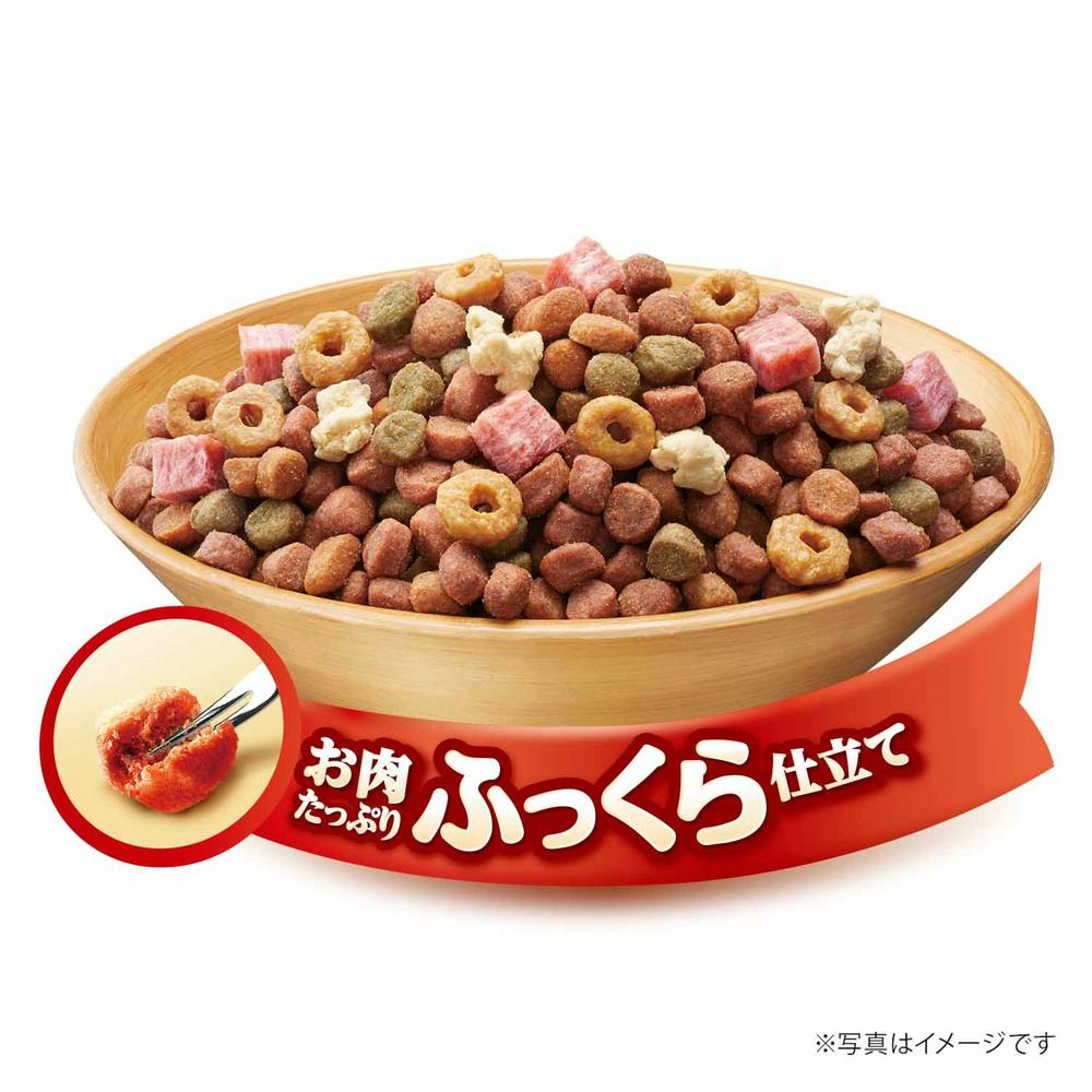 ドッグフード mf シュナウザー・テリア専門ドッグフード1kg袋初回お試し送料無料
