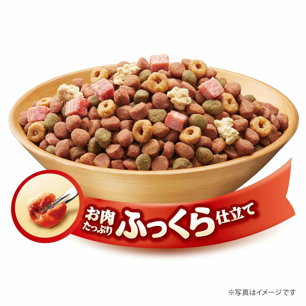 グラン・デリ ふっくら仕立て 13歳以上用 1.6kg | ペット用品（犬