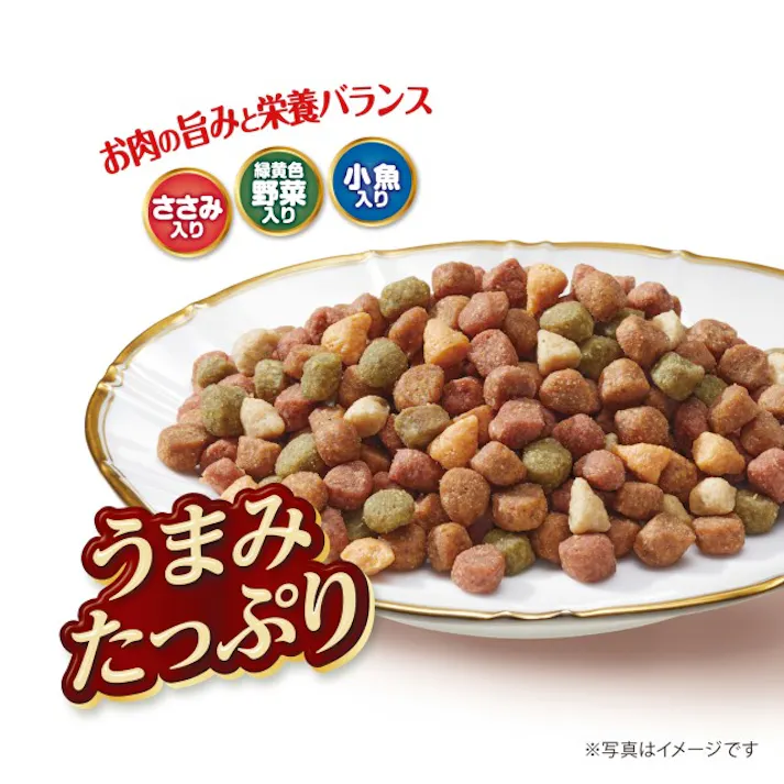 ゲインズパックン 鶏ささみ 13歳 2kg(販売終了)